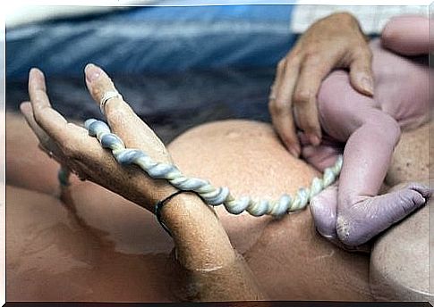 umbilical cord after birth