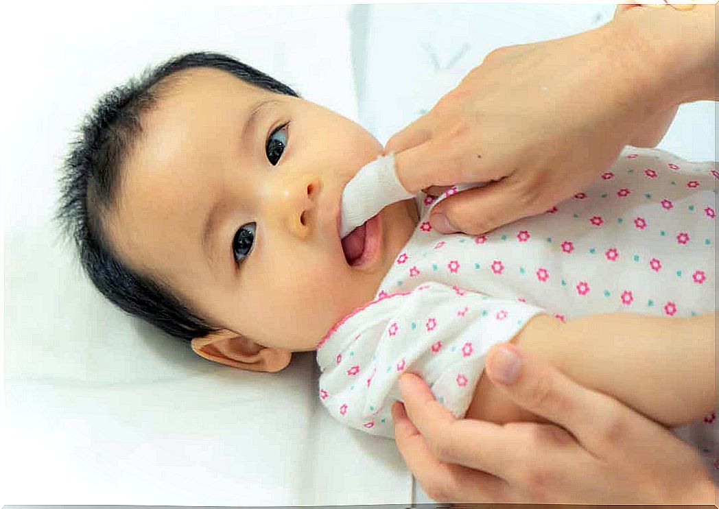 A mother is cleaning a baby's gums