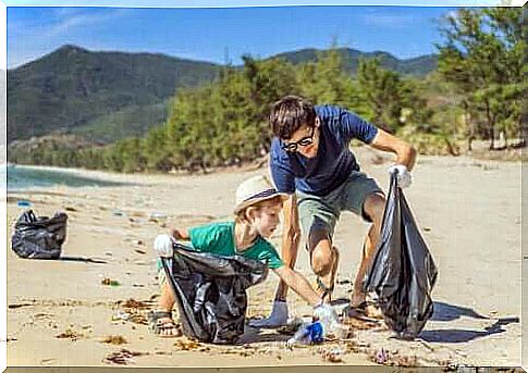 Environmental education activities for the whole family