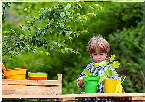 little boy planting