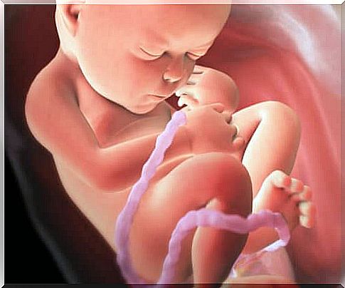 Fetal development: Phases and influential factors