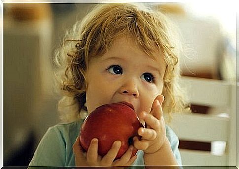 Healthy foods in children's meal which can prevent anemia