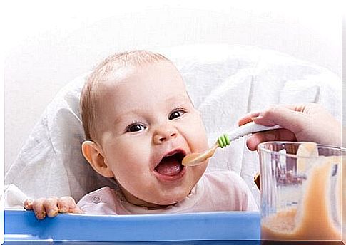 Healthy recipes for babies between 9 and 12 months