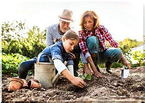 Help children remember their grandparents