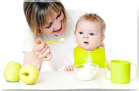 Puree recipes for babies older than 12 months