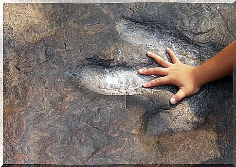 child placing hand in mysterious footprint